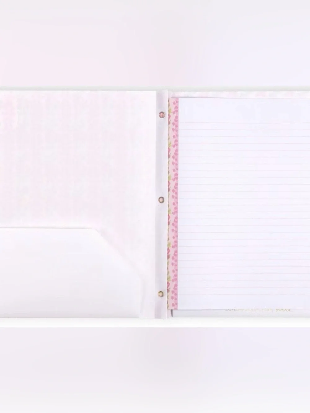 🩷💙🎯 LoveShackFancy x Target - Yoobi 2pk Poly Prong Folders